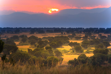 Obraz premium Landscape in Queen Elizabeth National Park, Uganda