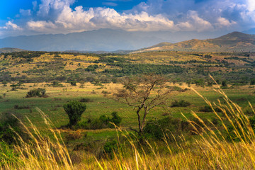 Landscape in Queen Elizabeth National Park, Uganda