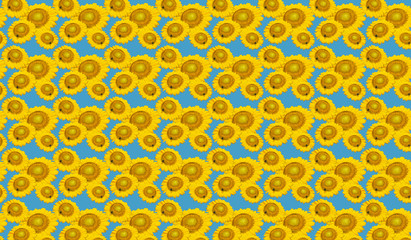 Sunflowers vivid background.