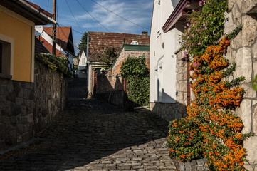 Rural street with a cobblestone road and flowers