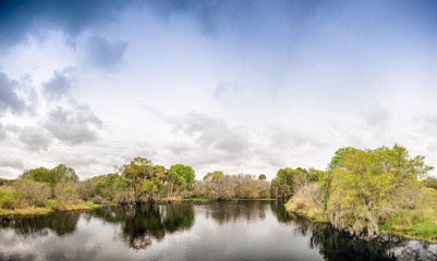 Fototapeta premium Panoramic view of Everglades swamps, Florida