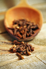 Species cloves