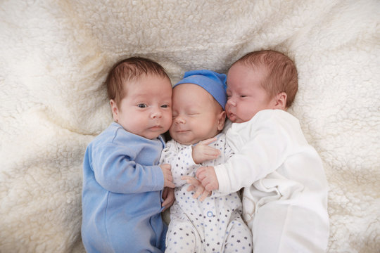 Portrait of newborn triplets - boys close up