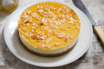 Honey and greek style yoghurt cheesecake 