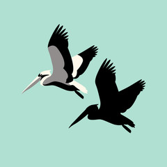 Pelican vector illustration style  Flat silhouette