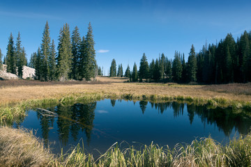 Small high mountain  Dog Lake and  coniferous forest,  Lake Mary Trail,  Uinta-Wasatch-Cache national forest. Utah, USA