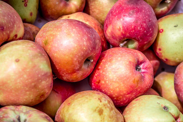 Apples are red in a box