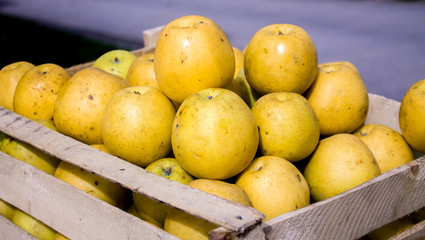 Yellow apples in a box