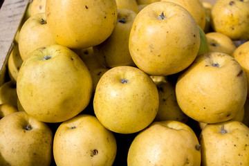 Yellow apples in a box