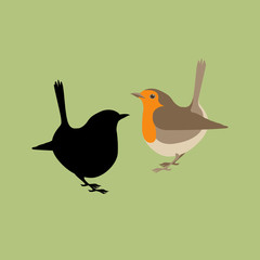 robin vector illustration style Flat