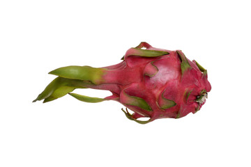 isolated pitaya dragon fruit