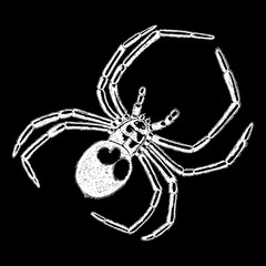 Insect stipple drawing Halloween decorative spider isolated. Spider in trendy embroidery stippling and hatching, shading style. Vector.