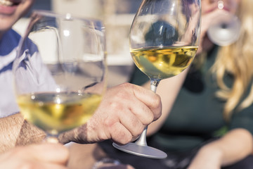 Friends Cheering with Wine Glasses in Outdoor Restaurant