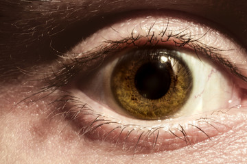 Male eye macro