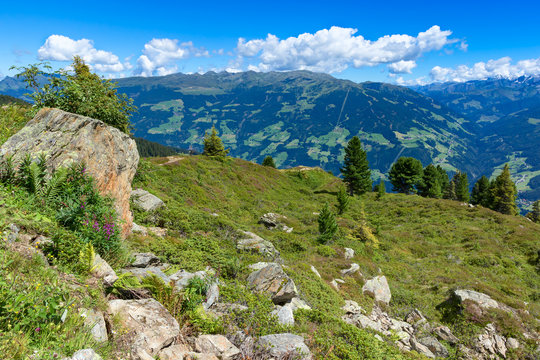 Summer mountain view with green meadow and stones in the foreground. Austria, Tirol, Zillertal, Zillertal High Alpine Road