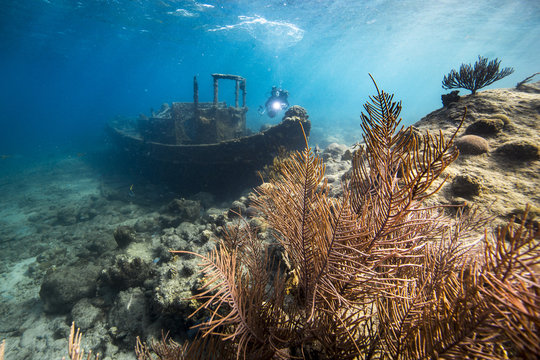 Unterwasser - Riff - Wrack - Tugboat - Schwamm - Taucher - Tauchen - Curacao - Karibik 