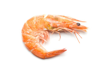 Shrimp isolated on white background