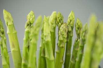 closeup of asparagus