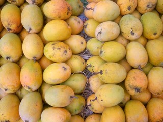 Yellow mangoes for sale at an Indian shop.