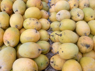 Yellow mangoes for sale at an Indian shop.
