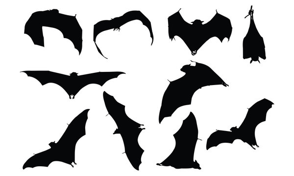 Bat Silhouette Vector Illustration