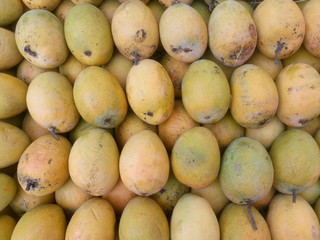 Yellow mangoes for sale at an Indian shop.