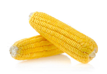 corn on white background