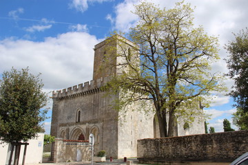 Fototapeta na wymiar Eglise fortifiée d'Esnandes