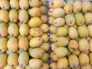 Yellow mangoes for sale at an Indian shop.