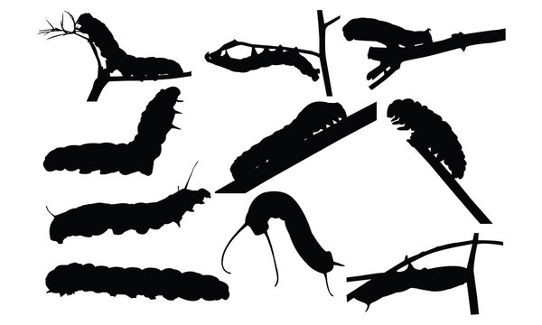 Caterpillar Silhouette Vector Illustration