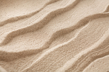 Obraz na płótnie Canvas Beach sand background. Natural seashore texture surface