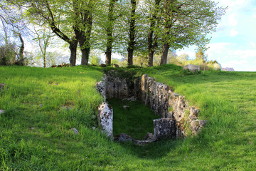 Brueil en Vexin - L'allée couverte de la Cave aux Fées