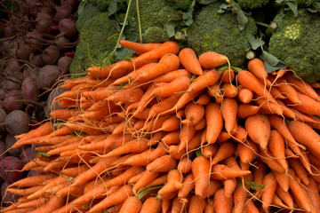 stack of carrots