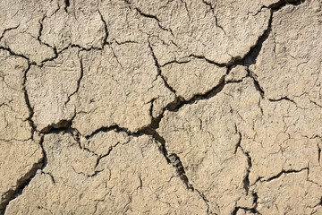 Cracked dry land in a desert