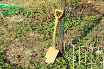 A small shovel in the garden