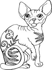 Vector illustration of a cat. Black and white portrait of a cat. Stylized Canadian Sphynx