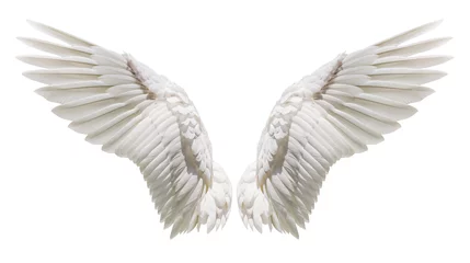 Fotobehang Natuurlijk wit vleugelkleed © Naypong Studio