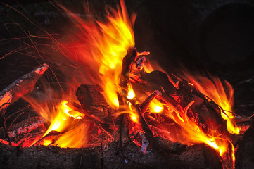 Płonące ognisko w czasie pikniku