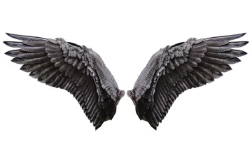 Foto op Plexiglas Engelenvleugels, Natuurlijk zwart vleugelkleed © Naypong Studio