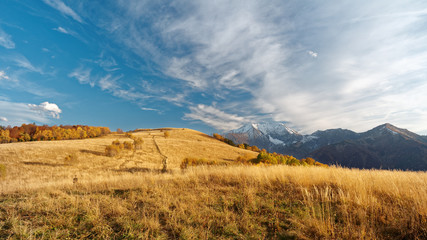 Autumnal subalpine landscape at sunset with snowy mountain peaks, forest, and meadow. Caucasus. Russia. The Caucasian reserve. Pasture Abago