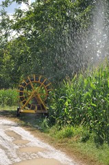Water sprinkler installation in a field