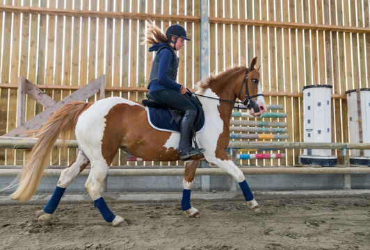 cavalière travaillant le départ au galop