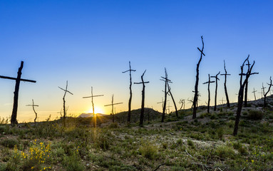 bosque de cruces