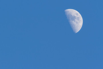 Light blue sky with moon in summer