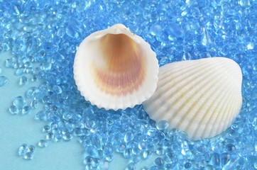 夏の海のイメージ