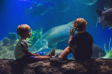 Two boys look at the fish in the aquarium
