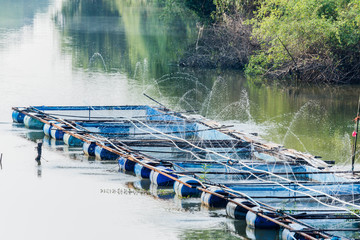 Water injection, oxygen In Nile tilapia Fish farms