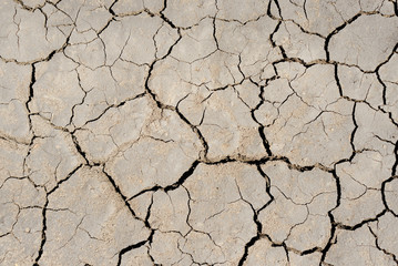 drought earth closeup as textured background