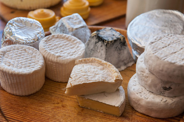Fototapeta na wymiar Set of different cheese