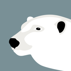 polar bear head  vector illustration style Flat